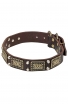 English Bull Terrier Collar with Vintage Brass Plates and Nickel Studs