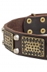 German Shepherd Collar with Vintage Brass Plates and Nickel Studs