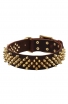 Decorative Fully Spiked Leather Collar with Brass Spikes