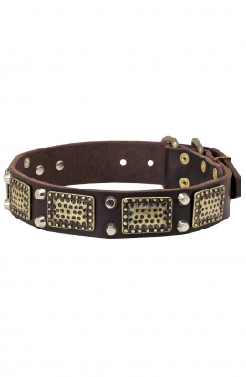 Siberian Husky Collar with Vintage Brass Plates and Nickel Studs