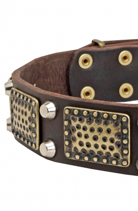 American Bulldog Collar Decorated with Vintage Plates and Nickel Pyramids