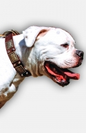 American Bulldog Collar Decorated with Vintage Plates and Nickel Pyramids 