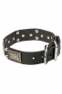 American Bulldog Collar with Massive Plates and 2 Nickel Pyramids