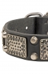 American Bulldog Collar with Massive Plates and 2 Nickel Pyramids