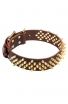 Decorative Fully Spiked Leather Collar with Brass Spikes