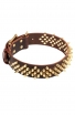 Decorative Fully Spiked Leather Collar with Brass Spikes