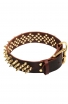 Decorative Fully Spiked Leather Collar with Brass Spikes