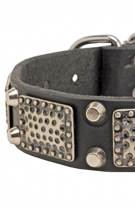 Bullmastiff Collar with Massive Nickel Plates and Pyramids 