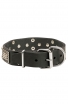 Buy Cane Corso Collar with Nickel-plated Hardware