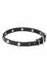 Narrow Leather Dog Collar with 1 Row Nickel Pyramids