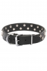 Fancy Dog Collar with Dotted Pyramids