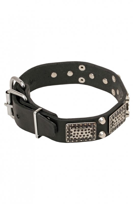 Labrador Luxury Leather Collar With blue Stones