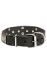 Buy Stylish Leather Pitbull Collar with Large Plates and Pyramids 