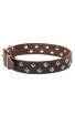 Fancy Dog Collar with Dotted Pyramids