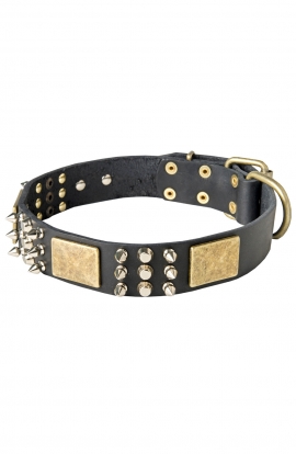 Spiked Leather American Bulldog Collar with Old Brass Massive Plates
