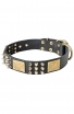 Spiked Leather Amstaff Collar with Vintage Plates