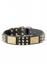 Belgian Malinois Leather Collar for Walking in Style
