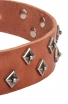 Fancy Dog Collar with Dotted Pyramids