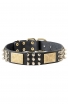 Boxer Leather Collar with Spikes