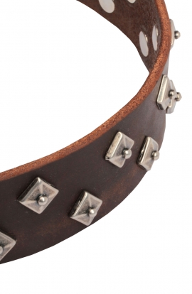 Fancy Dog Collar with Dotted Pyramids