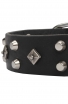 Studded Dog Collar with Nickel Studs and Silver-like Pyramids