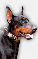 Designer Leather Doberman Collar with Spikes and Plates