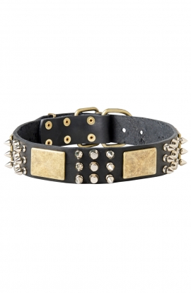 Spiked Leather German Shepherd Collar with Traditional Buckle