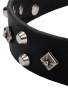 Studded Dog Collar with Nickel Studs and Silver-like Pyramids