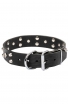 Studded Dog Collar with Nickel Studs and Silver-like Pyramids