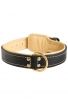 Nappa Padded Leather Dog Collar with Fur Protection Plate