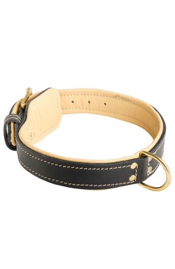 Nappa Padded Leather Dog Collar with Fur Protection Plate