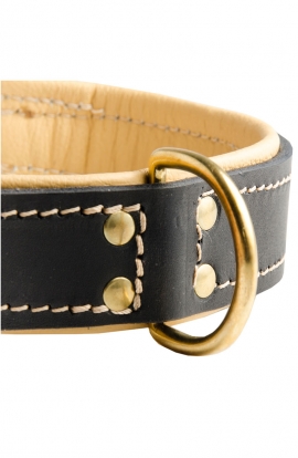 Nappa Padded Leather Dog Collar with Fur Protection Plate