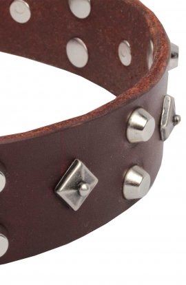 Studded Dog Collar with Nickel Studs and Silver-like Pyramids