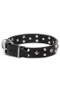 Studded Dog Collar with Nickel Studs and Silver-like Pyramids