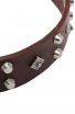 Studded Dog Collar with Nickel Studs and Silver-like Pyramids
