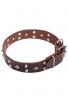 Studded Dog Collar with Nickel Studs and Silver-like Pyramids