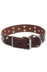 Studded Dog Collar with Nickel Studs and Silver-like Pyramids