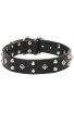 Studded Dog Collar with Nickel Studs and Silver-like Pyramids