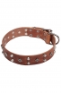 Studded Dog Collar with Nickel Studs and Silver-like Pyramids