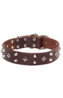 Studded Dog Collar with Nickel Studs and Silver-like Pyramids