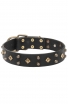 Decorated Dog Collar with Old Brass Dotted Square Studs and Pyramids