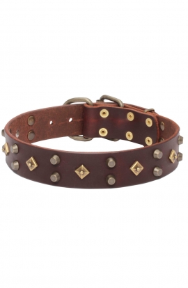 Decorated Dog Collar with Old Brass Dotted Square Studs and Pyramids