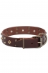 Decorated Dog Collar with Old Brass Dotted Square Studs and Pyramids