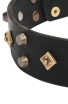 Decorated Dog Collar with Old Brass Dotted Square Studs and Pyramids