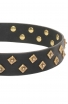 Vintage Collar Studded with Old-Style Brass Pyramids