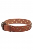 Vintage Collar Studded with Old-Style Brass Pyramids