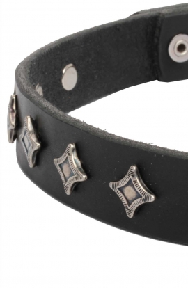 Elegant Narrow Leather Dog Collar decorated with Old Silver-like Stars