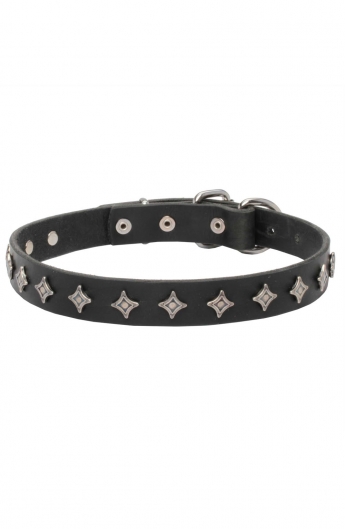 Elegant Narrow Leather Dog Collar decorated with Old Silver-like Stars