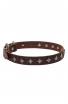 Elegant Narrow Leather Dog Collar decorated with Old Silver-like Stars