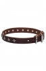 Elegant Narrow Leather Dog Collar decorated with Old Silver-like Stars